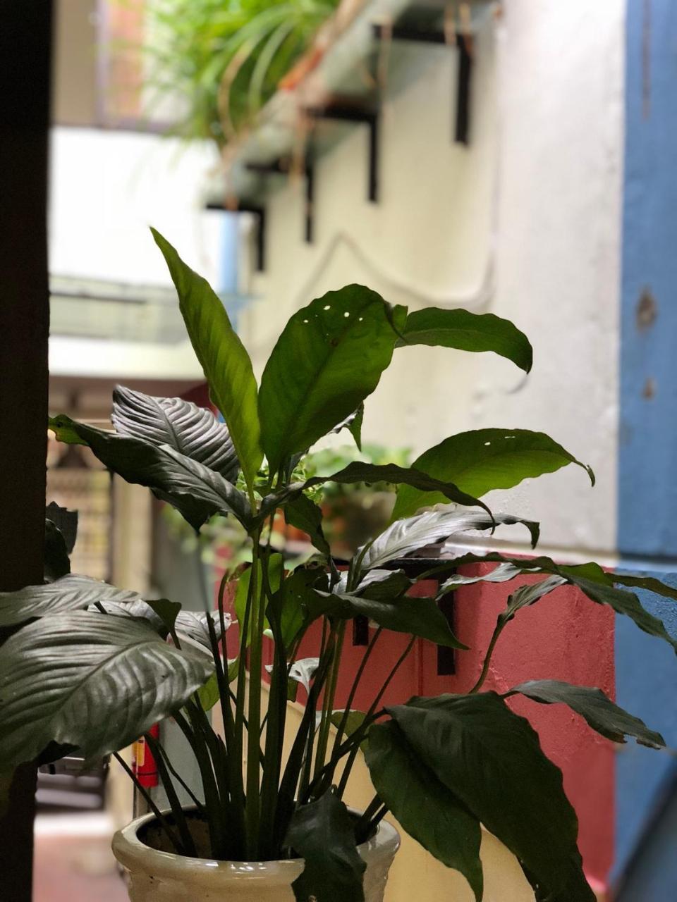 Appartamento Ventana House Hai Phong Esterno foto